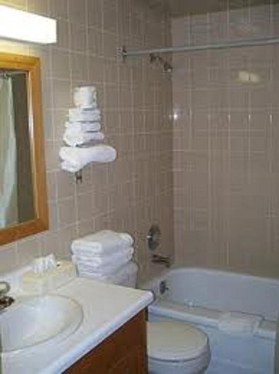 Econo By The Falls Lodge *